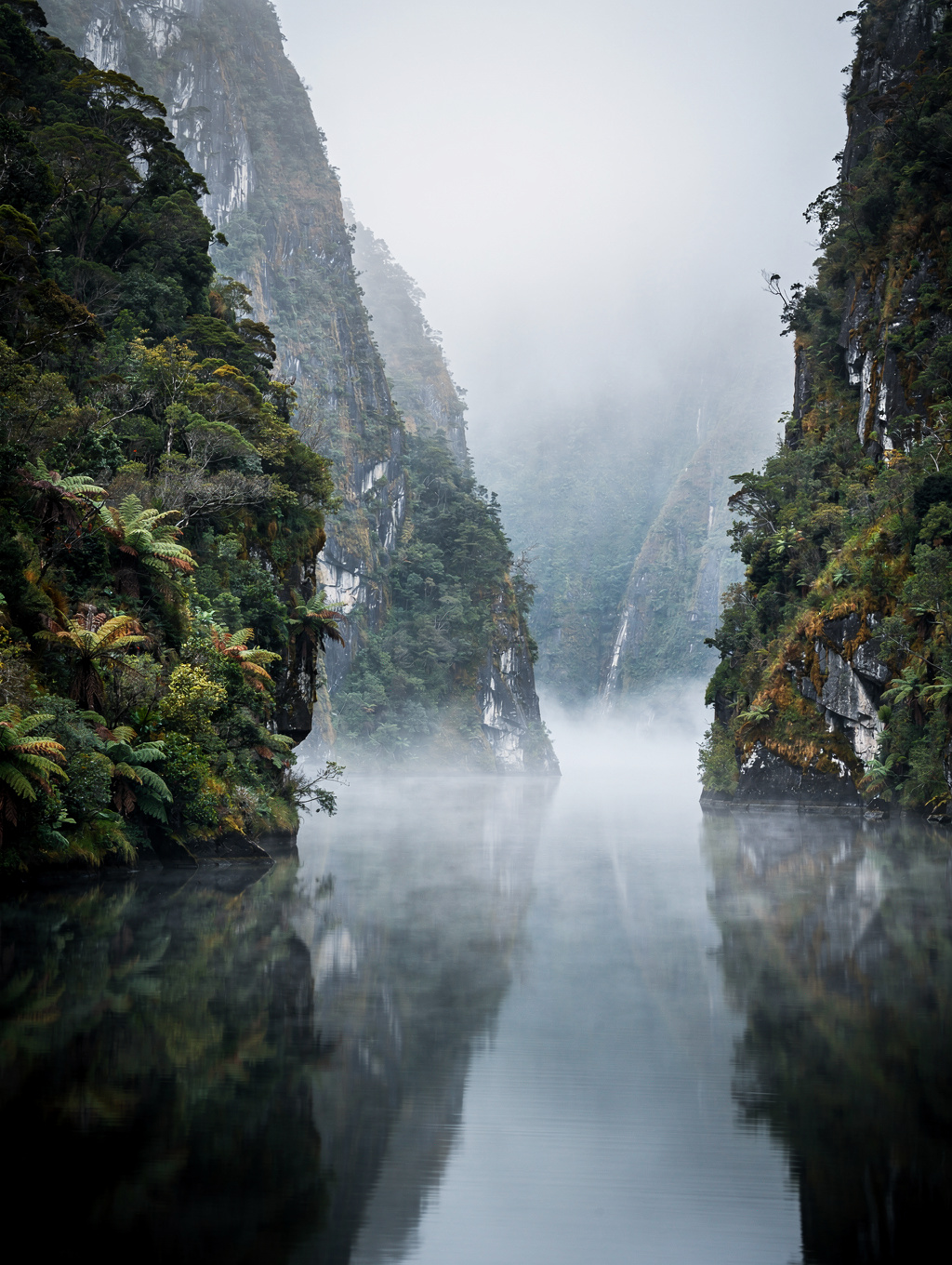 Low hanging mist over deep fjord waters and cliffs